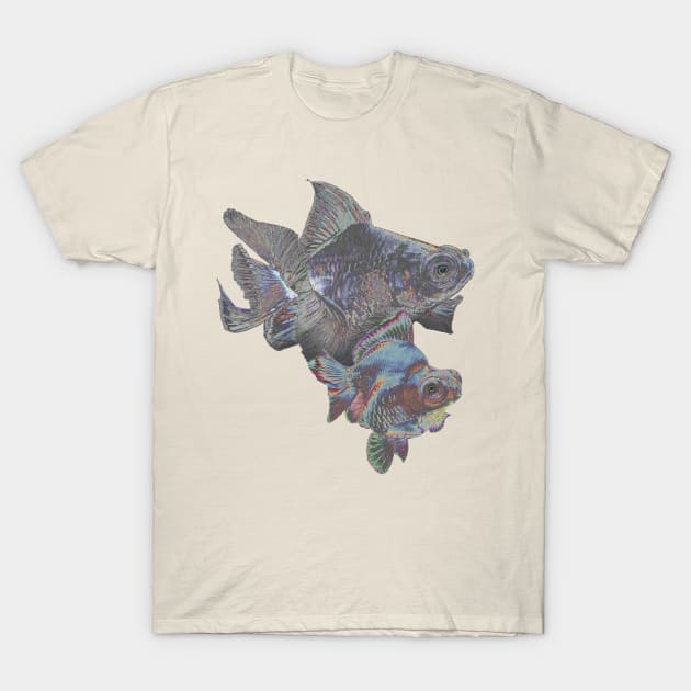 Fancy Goldfish Withe Her Mother T-Shirt by abdoos